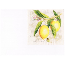 Serwetka -2282-